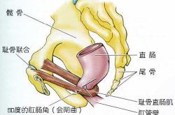 产后多久可下蹲如厕合适