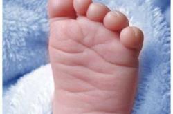 寻新生儿脚印图片集