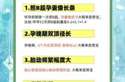 生男几月备孕合适呢