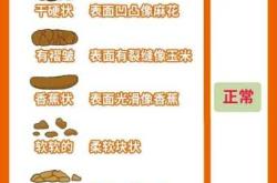 满月婴儿拉肚子该怎么办