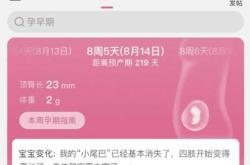 多久孕反会消失