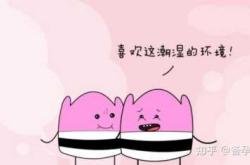 罗汉果会影响备孕吗