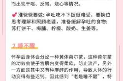 备孕与孕妇的关系是什么