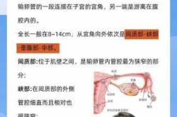 输卵管检查影响备孕吗