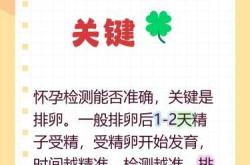 同房后几天能测出怀孕呢