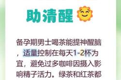 女生备孕期间能喝绿茶吗