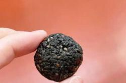 备孕能不能吃黑芝麻丸