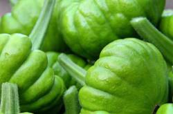 备孕妈妈梦见摘小瓜是什么意思