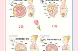 备孕12个月宝宝几月生