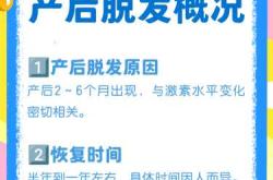 产后脱发多久能停止