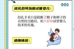 男人能做试管婴儿吗