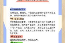 狗怀孕多久能生