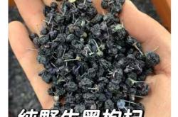 男的备孕泡黑枸杞喝有啥用