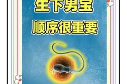 三十岁后如何备孕生男孩