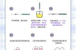 老婆备孕不能吃什么药