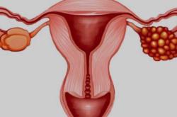 备孕可以拍片子不孕检吗