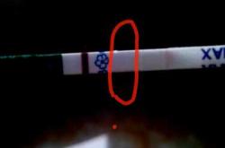 备孕梦到很多白羊男为啥