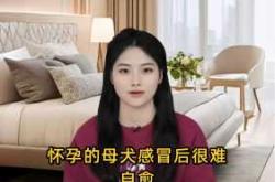 备孕前感冒会自愈吗