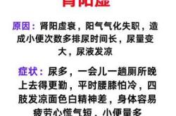 产后肾虚该如何进行调理