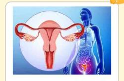 孕3个月子宫大小是多少