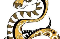 备孕梦死蛇缠脚有啥说法