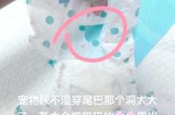 如何自治尿不湿