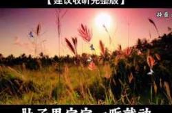 用什么播放胎教音乐比较好