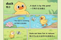 如何给婴儿启蒙英语