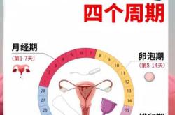 月经来多久能下环备孕