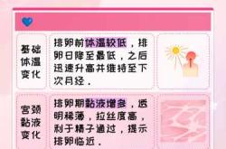 备孕女性屁股疼咋解决