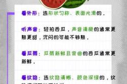 女人备孕梦西瓜冻了咋解