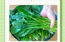 健康月子餐怎么吃才好