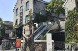 气滞血瘀备孕适合喝什么茶