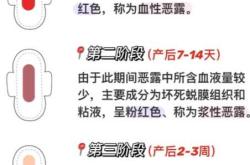 产后多久恶露才能排干净