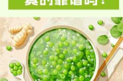 怀孕初期能喝绿豆汤吗