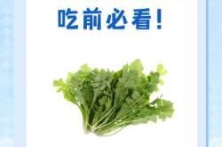 备孕时能否吃荠菜