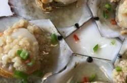 备孕为何要吃生蚝和扇贝