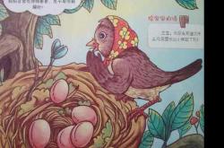 宝宝树每日胎教具体有啥内容