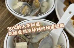 女生备孕能不能吃花蛤