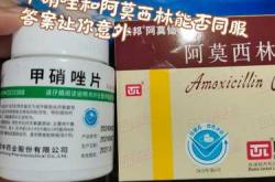 备孕期间能吃阿莫西林吗