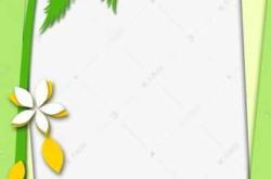 有椰子树图案的尿不湿哪款好