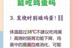 婴儿什么时候吃鸡蛋