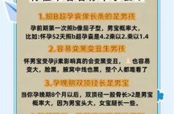 胎盘后壁容易孕吐吗