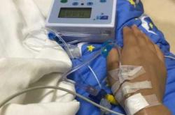 寒羊剖腹产是怎样进行的