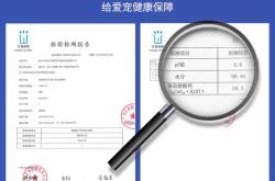 狗狗产后需补钙吗