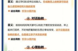 怀孕5个多月该如何胎教