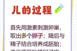 做试管婴儿有哪些步骤