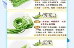 产后能否食用豆角