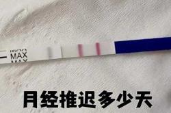 验白带能验出怀孕吗