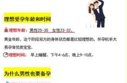 男备孕需常锻炼吗